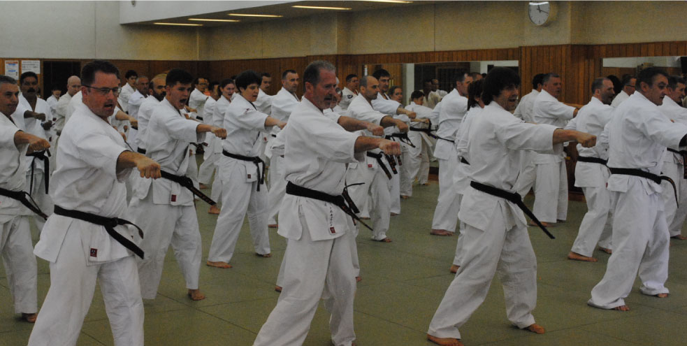 Kyokushinkan International